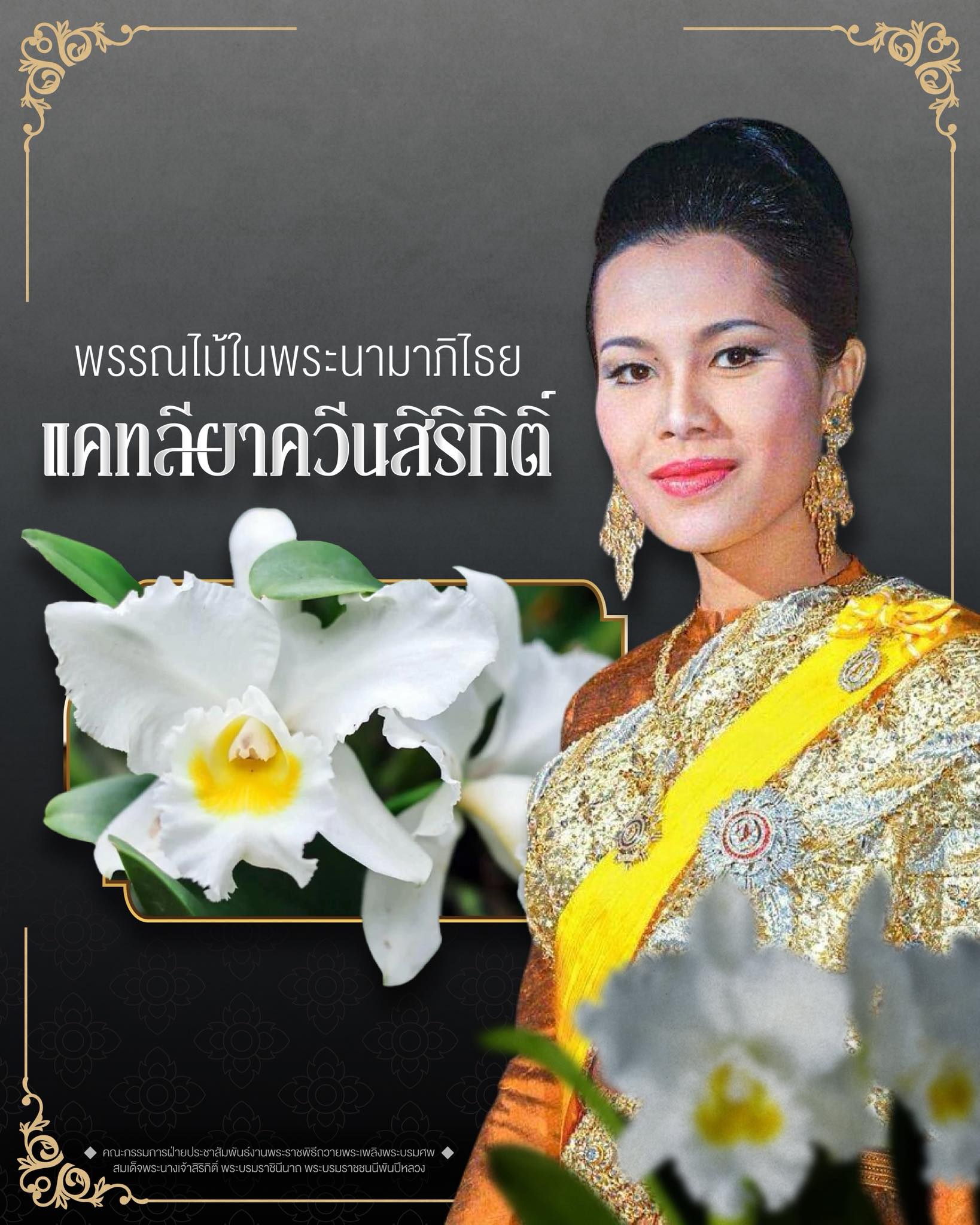 พรรณไม้ในพระนามาภิไธย "แคทลียาควีนสิริกิติ์"